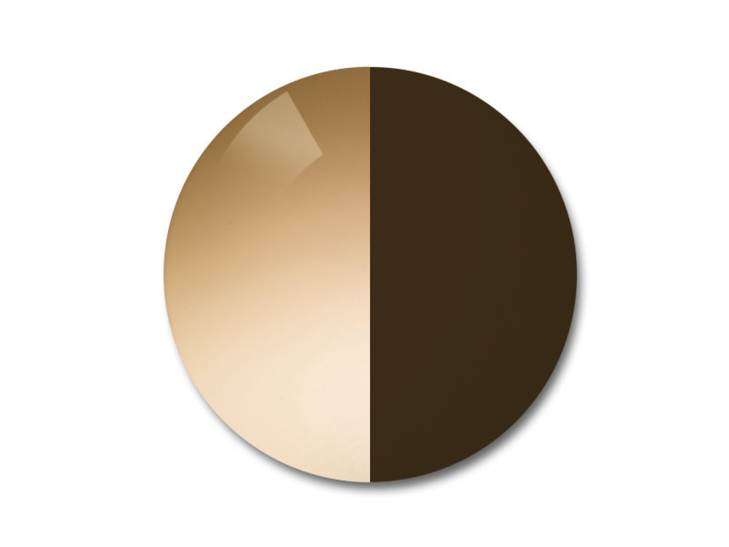 ZEISS AdaptiveSun Gradient Brown világos árnyalatú színátmenetben és sötét árnyalatú egyszínű megjelenésben.