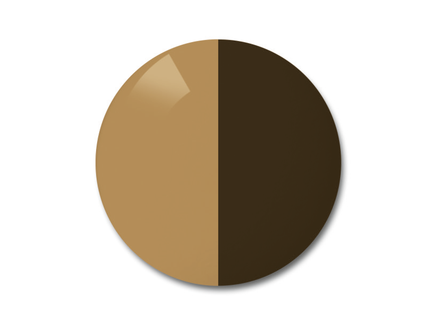 ZEISS AdaptiveSun Solid Brown világos és sötét árnyalatban.