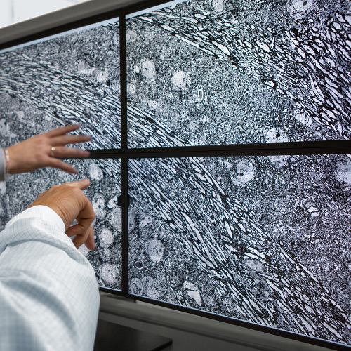 A képen négy képernyő látható, amelyeken a ZEISS MultiSEM mikroszkóppal készített képek jelennek meg. 
