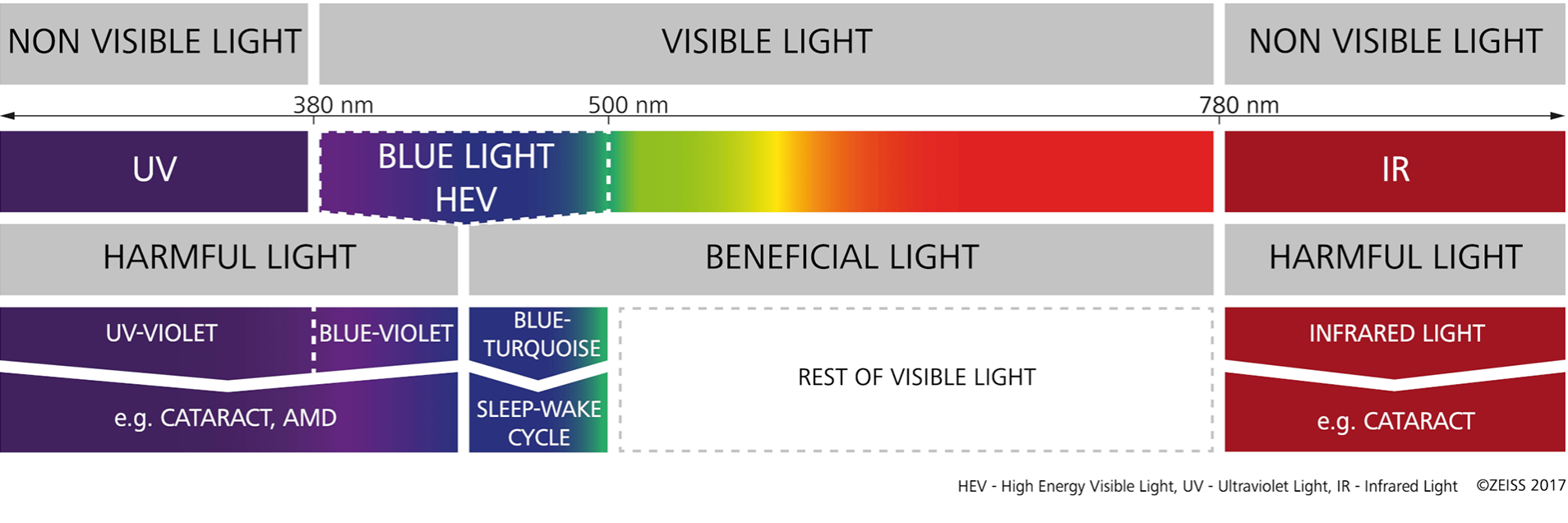 A látható spectrum